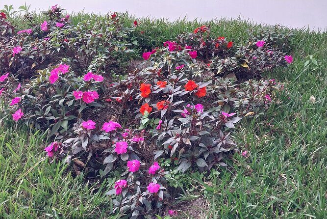 TRANSFER TO EL BOQUERON SAN SALVADOR NATURAL PARK VOLCANO - Why We Love This Tour