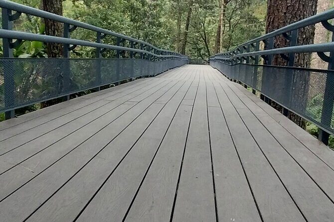 TRANSFER TO EL BOQUERON SAN SALVADOR NATURAL PARK VOLCANO - Who Would Love This?