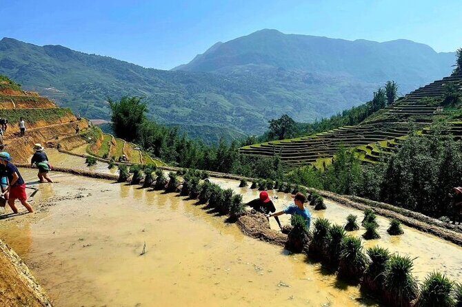 Transfer to or from Sapa in a Sleeper Bus from Hanoi - An In-Depth Look at the Transfer Experience