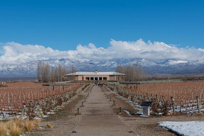 Transfer to Salentein Uco Valley with Lunch and Visit - The Sum Up