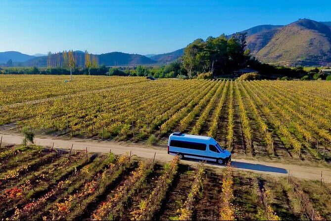 Transfer to Valparaiso Cruise Terminal with Winery & Town Tour - In-Depth Review