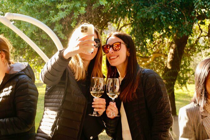 Transfer to Valparaiso Cruise Terminal with Winery & Town Tour - Final Thoughts