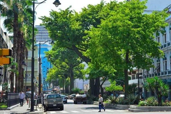 Transfers from Guayaquil Airport to the hotel - Key Points