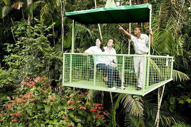 Transfers from PTY Airport to Playa Bonita or Gamboa and Back - What to Expect from Your Panama Airport Transfer