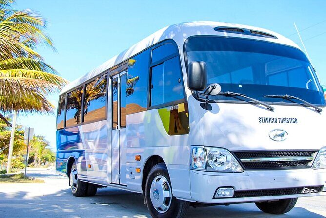 Transfers from San Pedro Sula to La Ceiba (ferry, airport or hotels) - Transfer from San Pedro Sula to La Ceiba: A Practical and Comfortable Journey