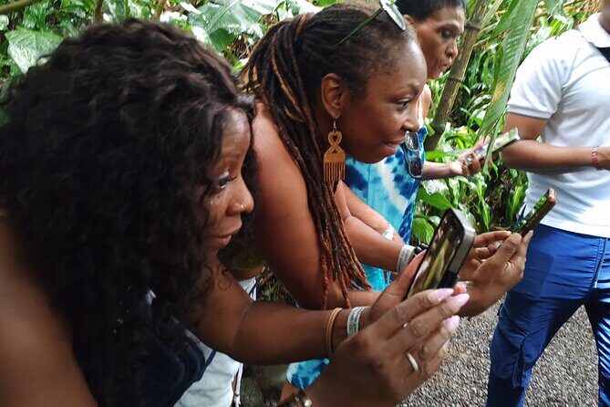 Transfers Hotel Riu Guanacaste - Planet Hollywood - Papagayo. - FAQ