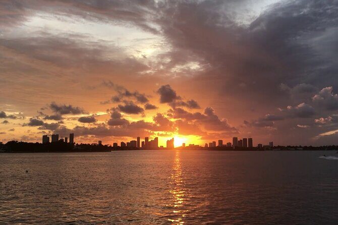 Transfers in Miami - A Closer Look at Transfers in Miami