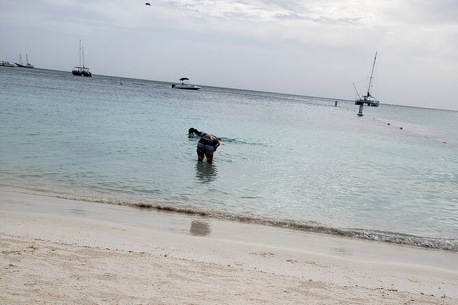 Transfers & Pickups - Key Points