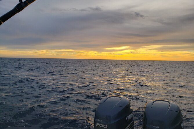 Transfers & Pickups - FAQ: Your Questions Answered