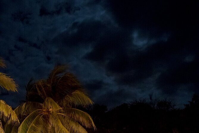 Transfers to West End by night from hotels in West Bay or Sandy Bay - Source