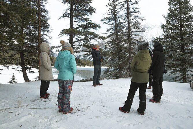 Transformative Winter Experiences in the Canadian Rockies - Who Should Consider This Tour?