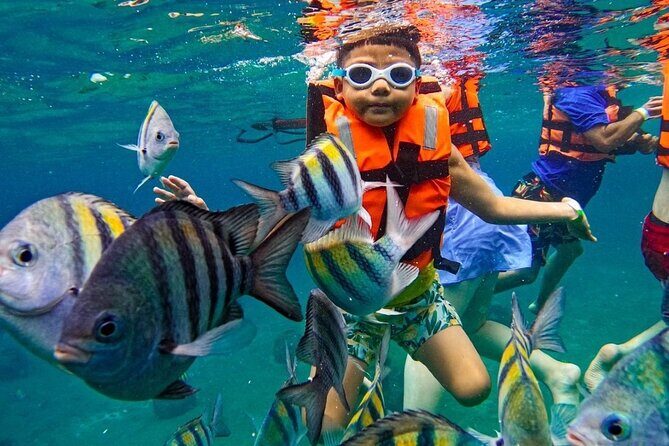 Transparent Boat Experience Cozumel & Snorkeling on Colorful Reef - FAQs