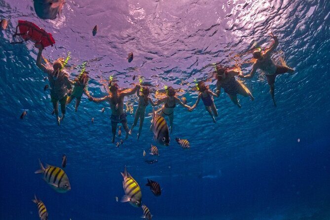 Transparent Boat Tour in Cozumel: See Marine Life Up Close - Exploring the Transparent Boat Tour: What You Need to Know