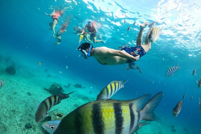Transparent Boat with Snorkeling drinks and photo shoot - Key Points