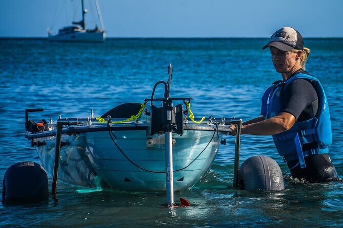 Transparent Electric Kayaks with Guide - Starting Point and Location