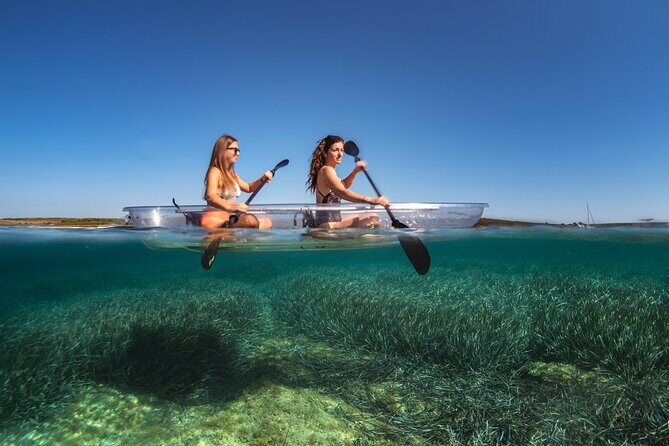 Transparent Kayak Rental - Explore the Underwater World - Key Points