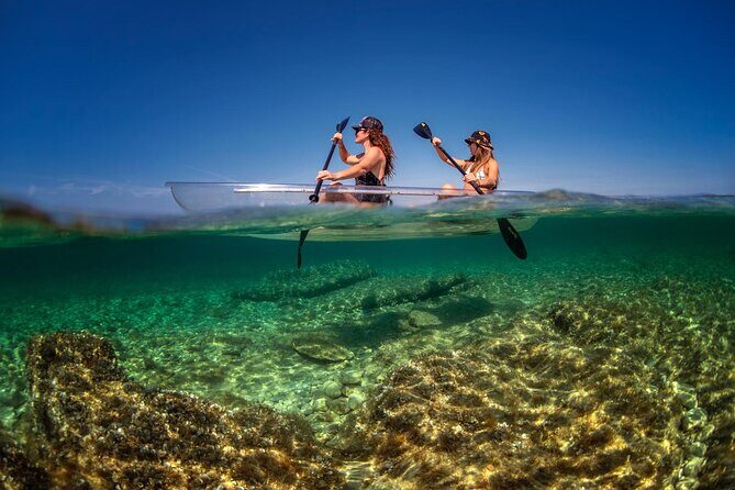 Transparent Kayak Rental - Explore the Underwater World - Summing Up: Who Will Love This Experience?