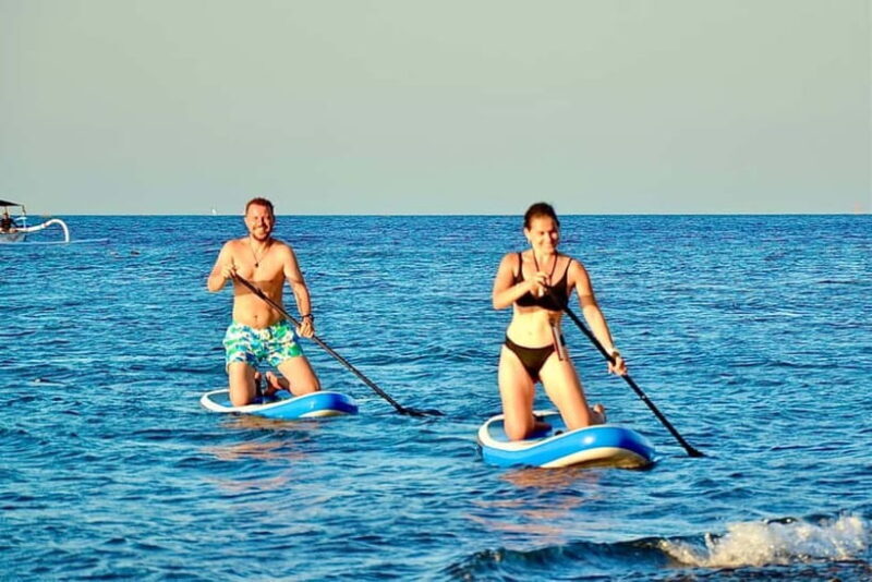 Transparent kayak rental - Key Points