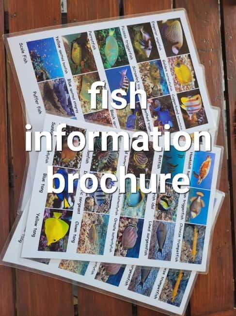 Transparent kayak rental - FAQs