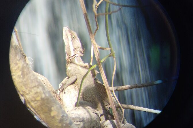 Transport from La Fortuna to Liberia Airport - An Honest Look at the Transfer from La Fortuna to Liberia Airport