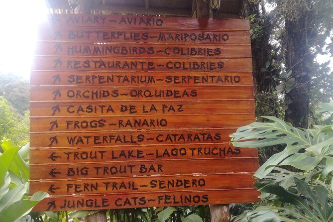 Transport from San Jose to la Fortuna - Final Thoughts: Is This the Right Choice for You?
