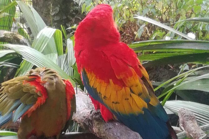 Transport from San Jose to la Fortuna - FAQ