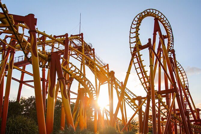 Transport to Beto Carrero Park from Balneário Camboriú - An In-Depth Look at the Shuttle Experience