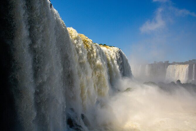 Transport to the Falls + Parque das Aves in a family vehicle. - The Sum Up
