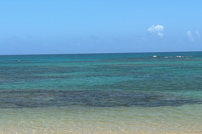 transportation and transfer to airport - The Sum Up: Who Is This Transfer Best For?