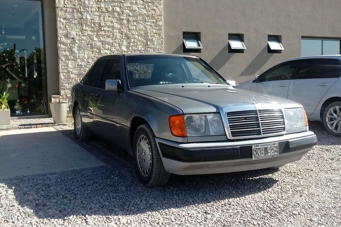 Transportation around Mendoza or others states!!! Trips.. transfers - Who Should Book This Service?