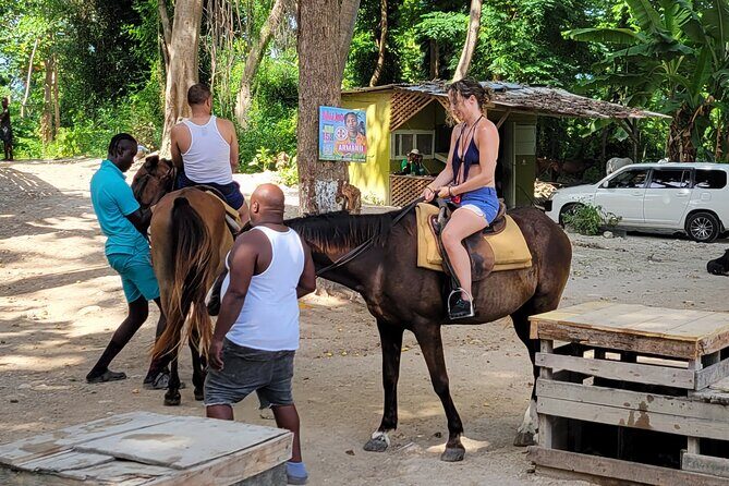 Transportation Dunns River,Blue hole horse back riding day trip - Who Should Consider This Tour?