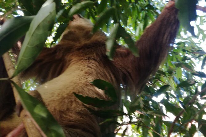 Transportation from La Fortuna to San Jose - FAQ