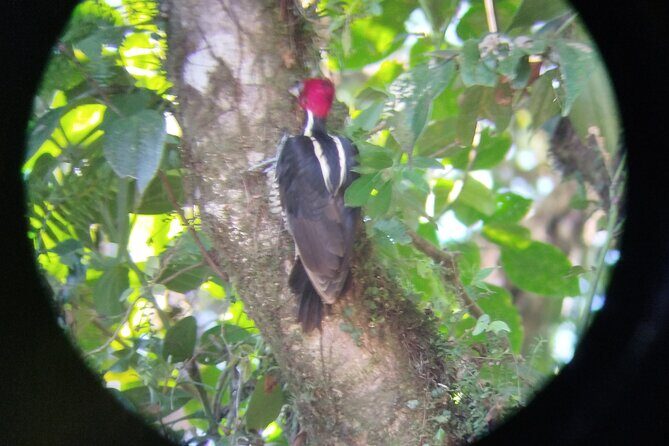 Transportation from La Fortuna to Tamarindo Beach - Itinerary Breakdown and Highlights