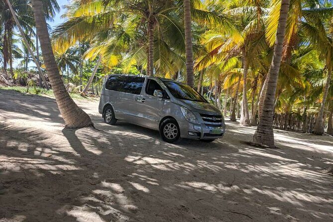 Transportation from PUJ Airport to Bavaro and Punta Cana - Getting to Bávaro and Punta Cana: Reliable VIP Transport from PUJ Airport