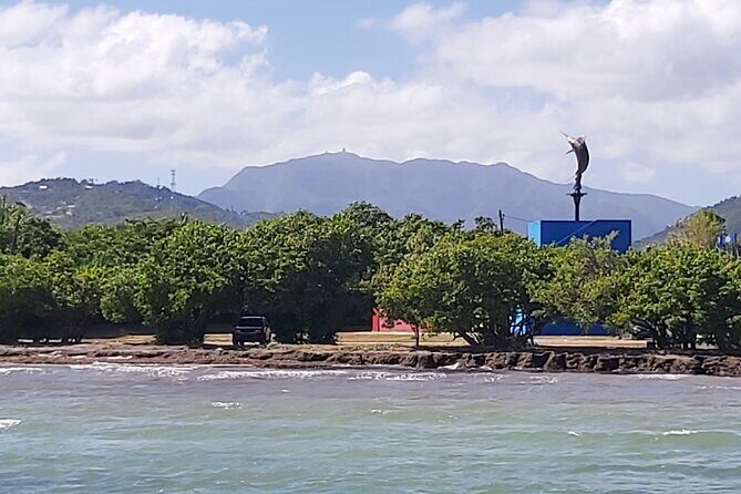 Transportation from San Juan to Ceiba ferry or airport - Who Should Consider This Service?