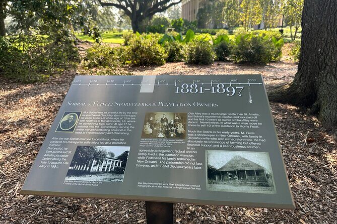 Transportation (Only) to a Plantation - Why Choose Private Transportation?