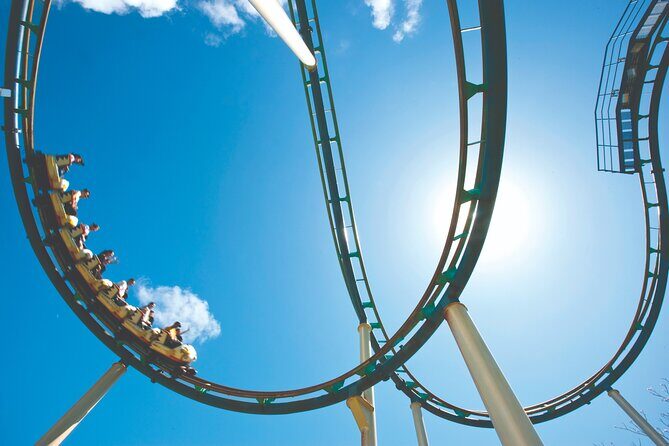 Transportation to Beto Carrero Park from Balneário Camboriú - Authentic Traveler Perspectives