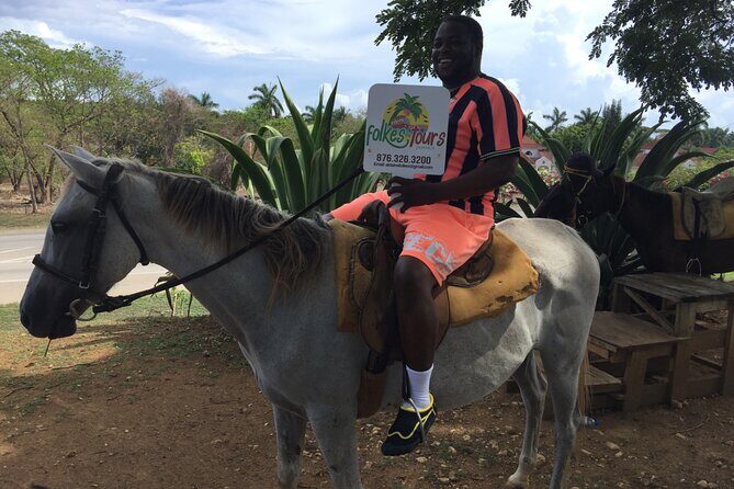 Transportation to Horse Back Ride & Swim Adventure from Ocho Rios - In-Depth Review of the Horseback Ride & Swim Adventure from Ocho Rios
