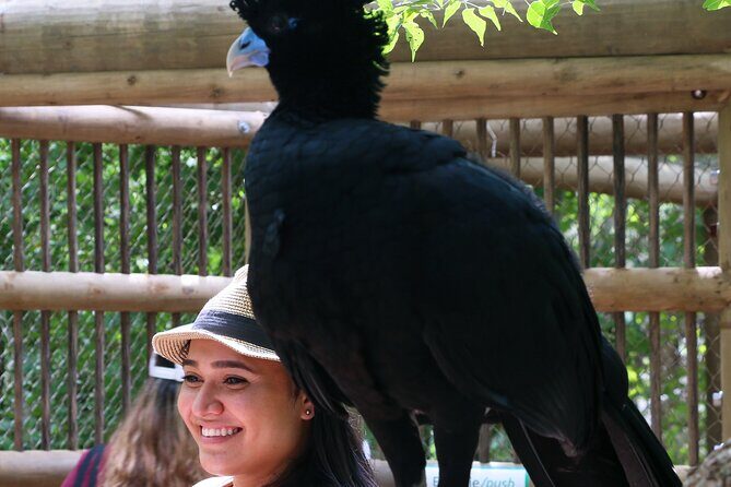 Transportation to the National AVIARY of Colombia - Who is This Tour Perfect For?