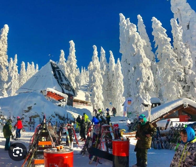 Transylvania: Christmas Markets Private Tour: Brasov & Sibiu - Discover Transylvania’s Holiday Charm: Private Tour of Brasov & Sibiu Christmas Markets