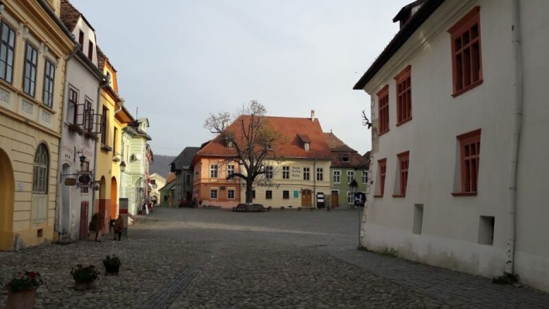 Transylvania: Dracula's Castle and Birthplace Tour - Key Points
