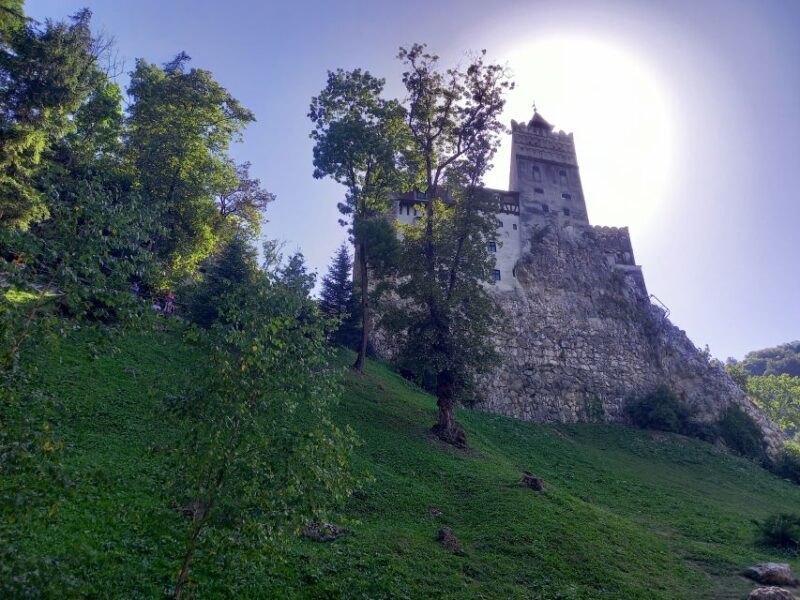 Transylvania: Dracula's Castle and Birthplace Tour - Pricing and Value
