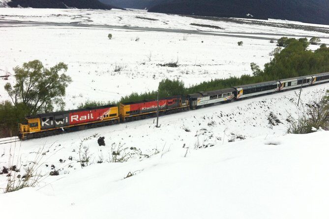 Tranz Alpine Train Tour - The Experience in Detail