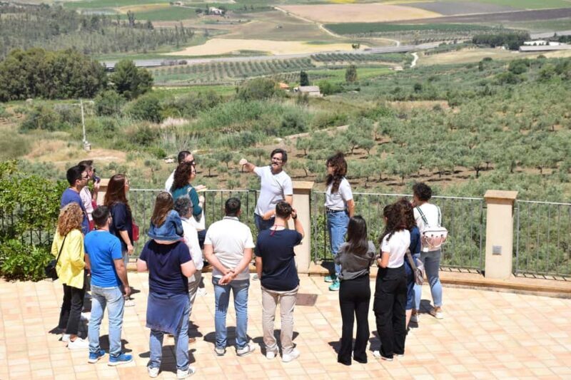 Trapani: Organic Wine Tasting with the Producer - Key Points
