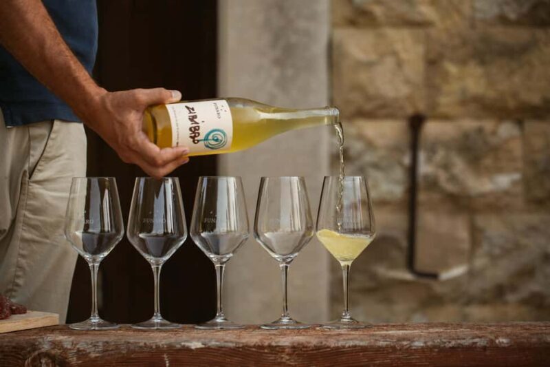 Trapani: Organic Wine Tasting with the Producer - Exploring the Vineyard and Learning About Organic Farming