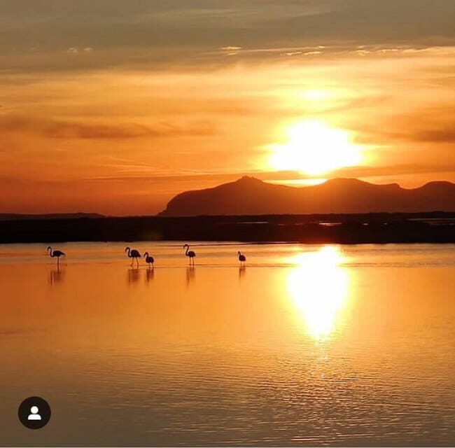 Trapani: Salt Pans Sunset Tour and Flamingo Way - An Honest, Detailed Look at the Salt Pans Sunset Tour