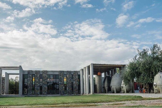 Trapiche and Lunch The Enemy (Michelin) + Private transportation - An In-Depth Look at the Mendoza Wine Tour