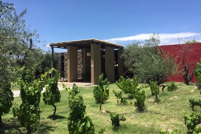 Trapiche and Lunch The Enemy (Michelin) + Private transportation - Practical Tips for the Tour