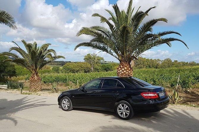 Trasferimento privato da Palermo aeroporto a San Vito Lo Capo - Who Is This Transfer Best For?