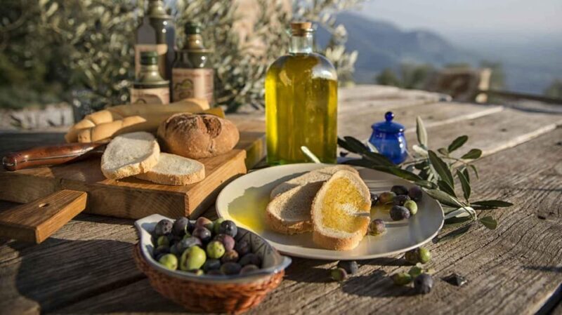 Trasimeno: Light Lunch, Oil, And Wine Experience - Key Points